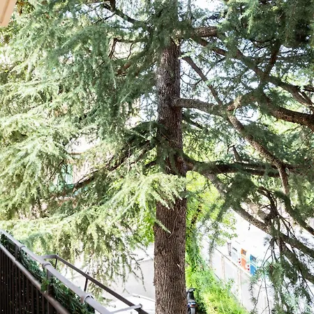 Apartman A Casa Di Nani *